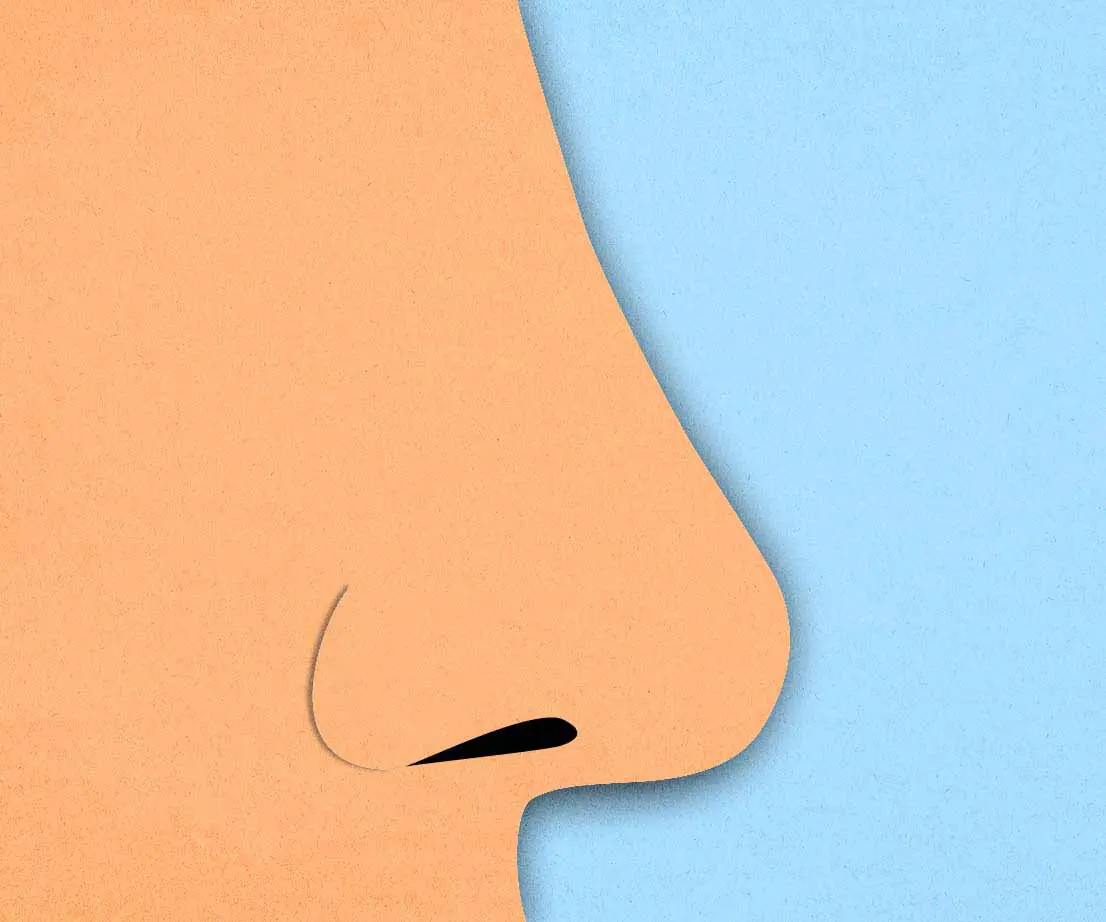 Profil einer Nase