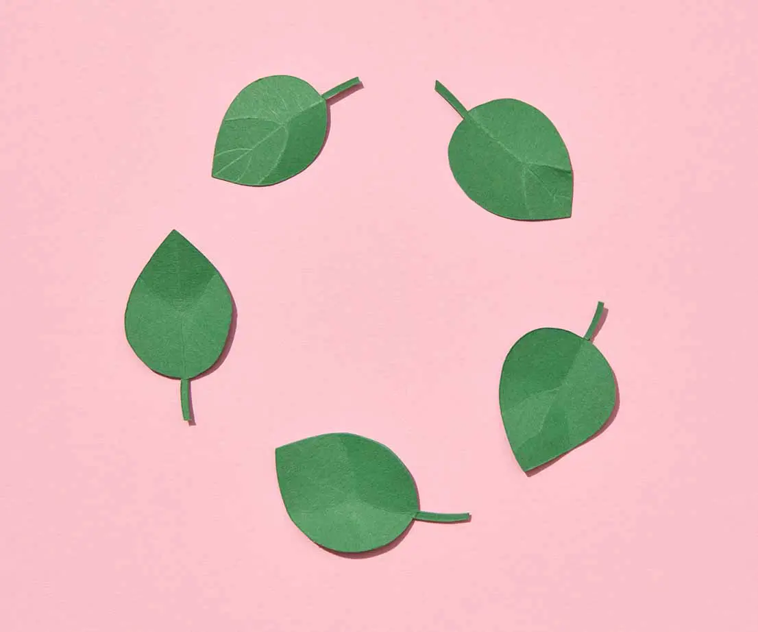 grüne Blätter kreisförmig angeordnet